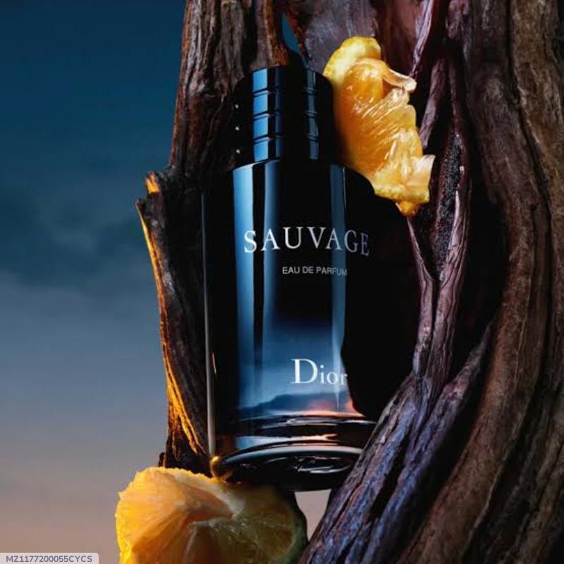 Dior Sauvage 24 Hrs Sweat Resistance Perfume
